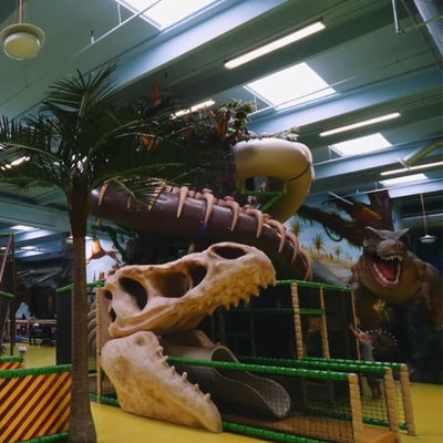 Good price Forest Dinosaur Themed Custom Indoor Playground Shopping Mall Kids Indoor Park online
